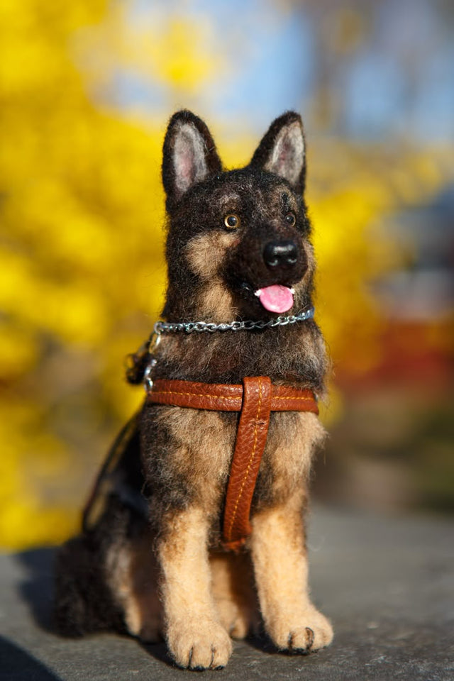 10 Thoughtful Dog Sympathy Gifts to Bring Comfort to Grieving Pet Owners