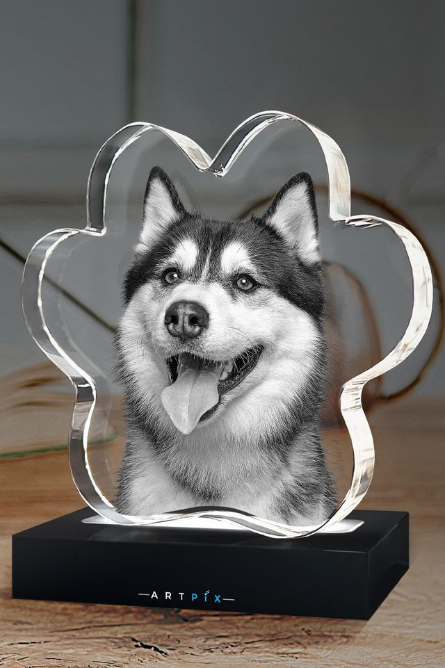 Create a lasting memory with a 3D pet crystal