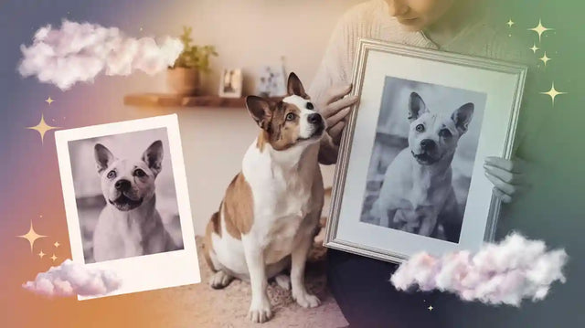 From Photo to Keepsake: Touching Journeys with Pet Portraits