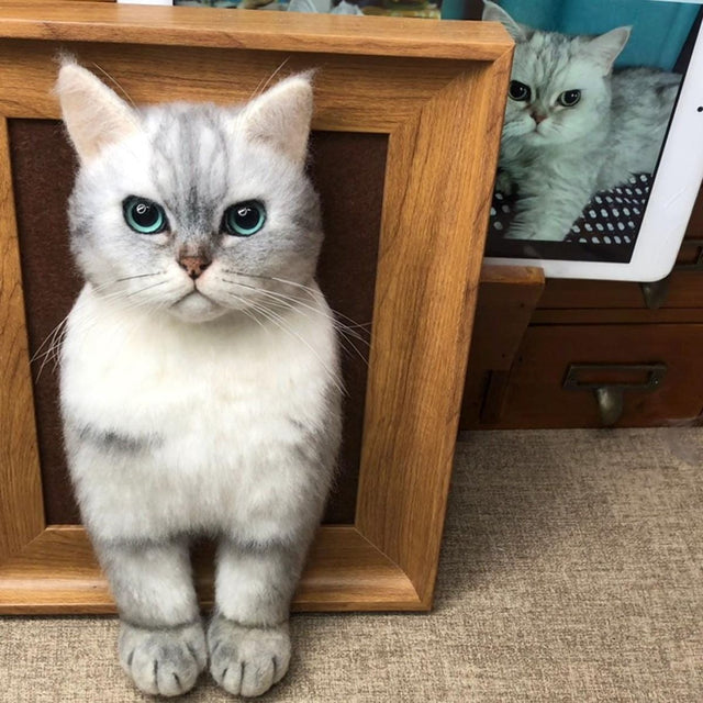 What to give someone when their dog dies