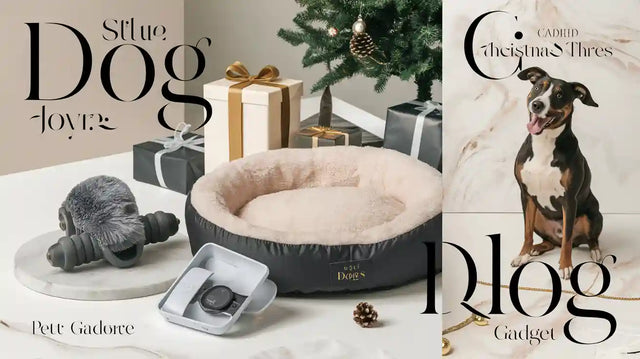 3 Christmas Gifts Ideas for Dogs in 2025