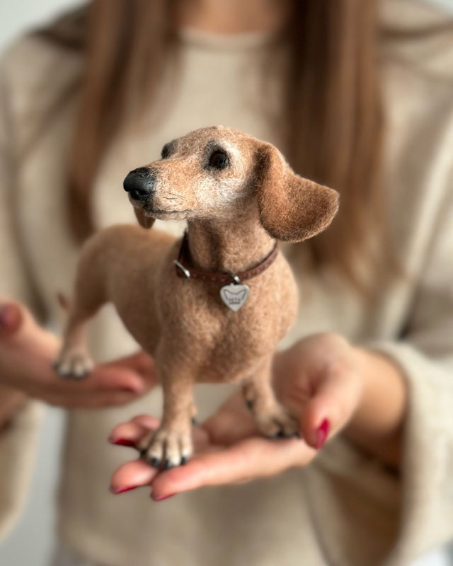 Never settle for ordinary Rainbow Bridge dog gifts