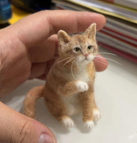 10 Cat Themed Gifts for Cats and Owners to Enjoy Together in 2025