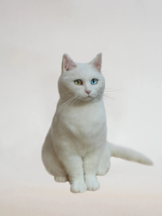 Pawimprint Shares the Most Popular Wool Felt Pet Portrait Trends