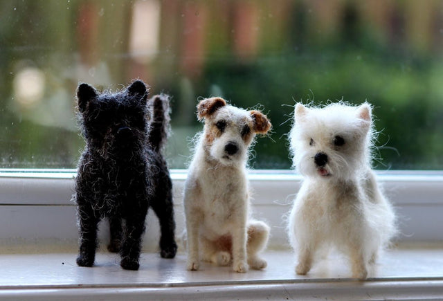 What Are the Top Dog Presents for Birthdays and Holidays