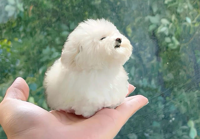 Unique Gift Ideas for Women and How to Choose Them