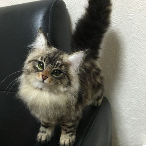 How to Choose a Cat Memorial Gift That Truly Reflects Their Bond