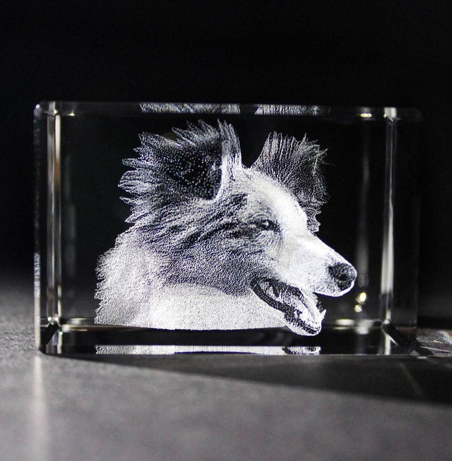 Finding the Right Gift for a Friend Mourning a Pet