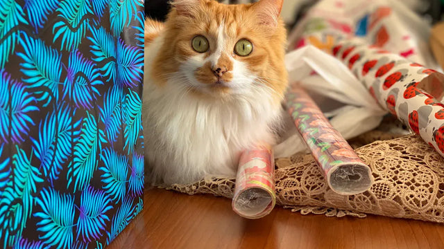 Top 20 Best Gifts for Cats to Delight Your Feline in 2025