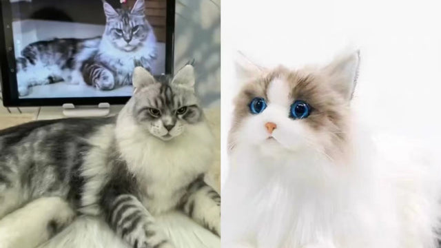 Custom vs Ready-Made Realistic Stuffed Animals Which Is Best for You