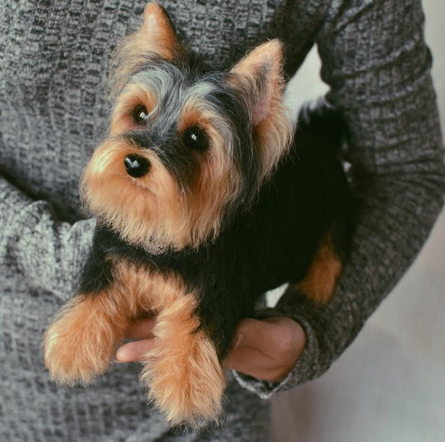 How to present birthday gifts for her in a memorable gift.