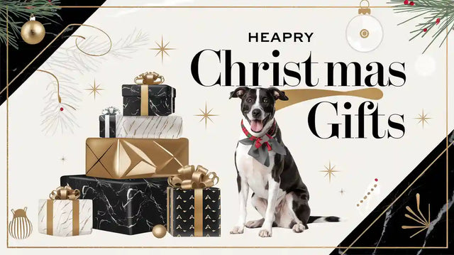 Pawimprint’s Best Christmas Gifts for Dogs Who Deserve the World