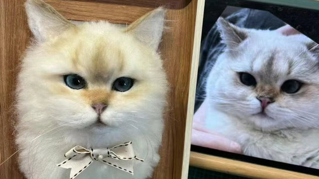 Choosing Cat Felt Ornaments That Last