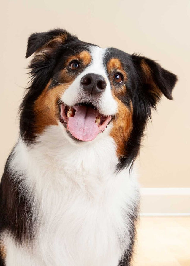 Heartfelt Stories That Make Personalized Memorial Gifts Truly Special