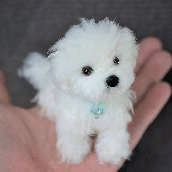 Guide to Choosing Unique Gifts for Girls This Year