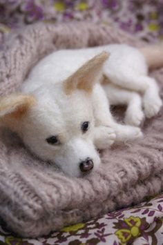 10 Trending Custom Pet Portrait Styles for 2025