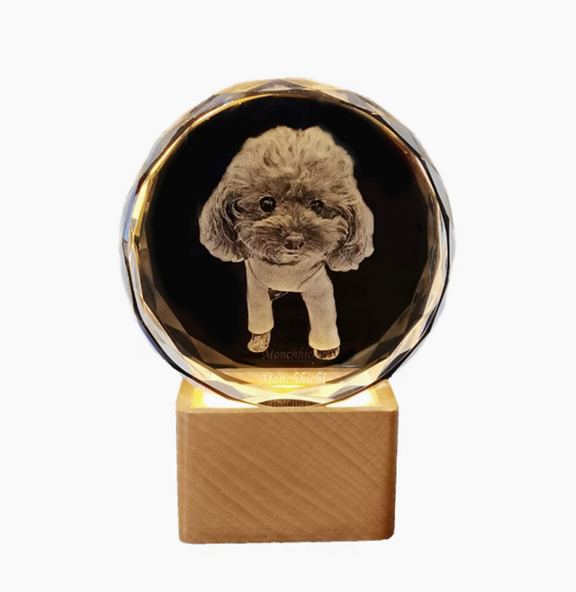 Personalized 3D Ball Pet Crystal - Not Just For Pets!