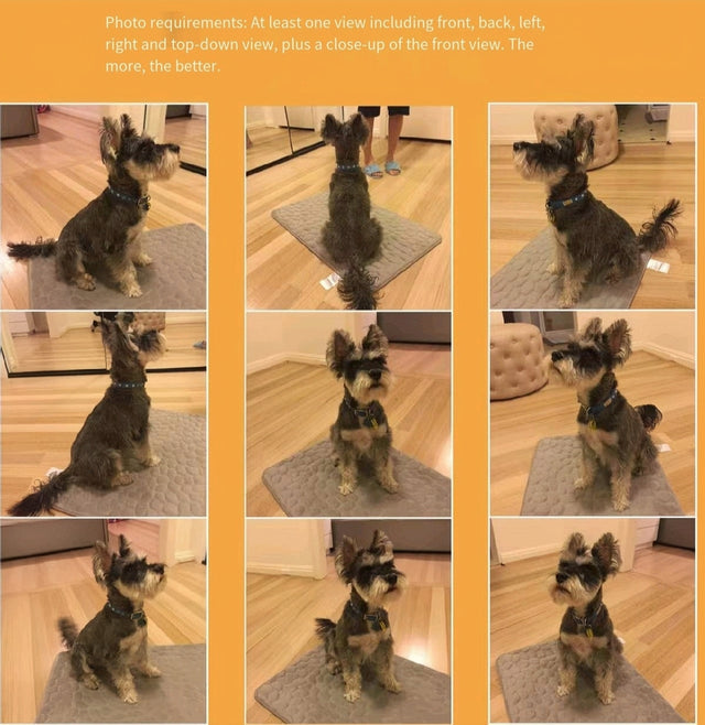 Pet smart shimmer statue - exclusive custom pet lamp souvenir gift ornament