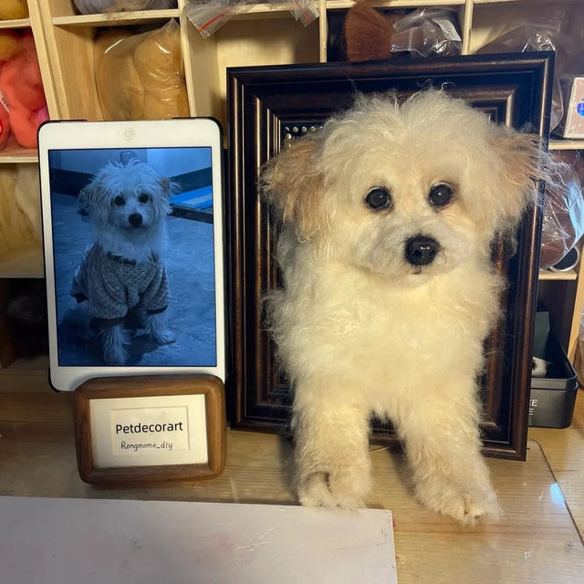 3D Custom Stuffed Animal Clones with Wooden Frame | pawimprint