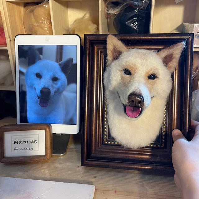 3D Custom Stuffed Animal Clones with Wooden Frame | pawimprint
