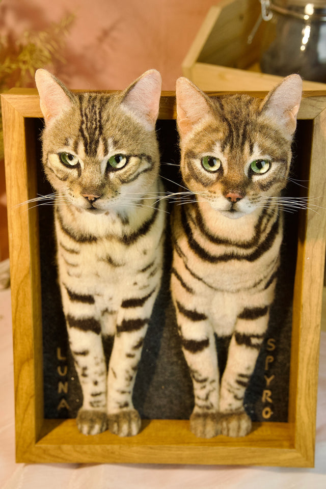 3D Custom Stuffed Animal Clones with Wooden Frame | pawimprint