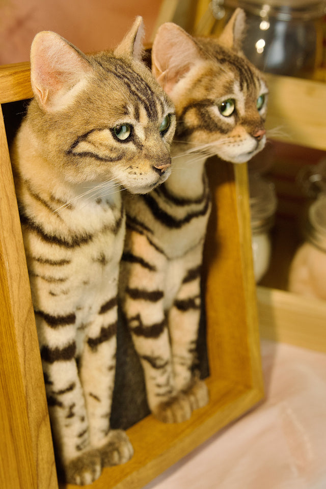 3D Custom Stuffed Animal Clones with Wooden Frame | pawimprint