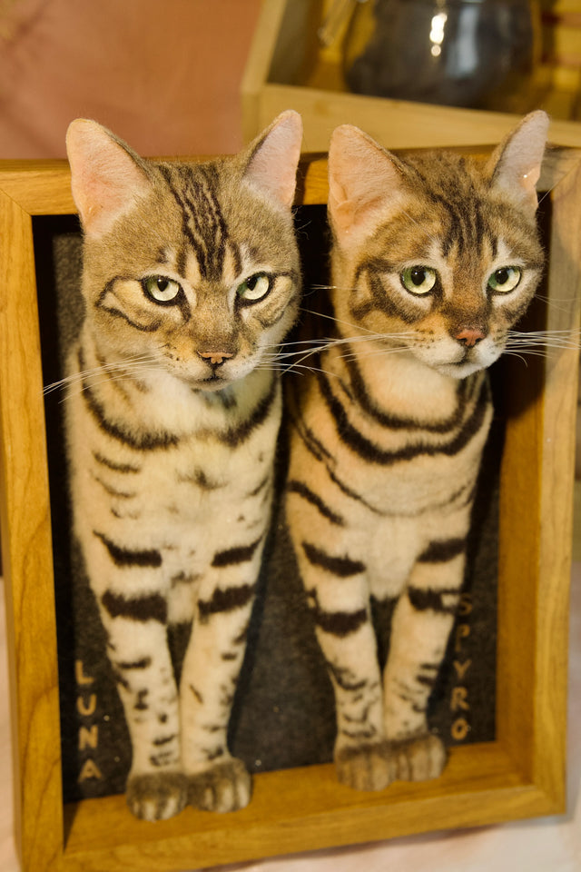 3D Custom Stuffed Animal Clones with Wooden Frame | pawimprint