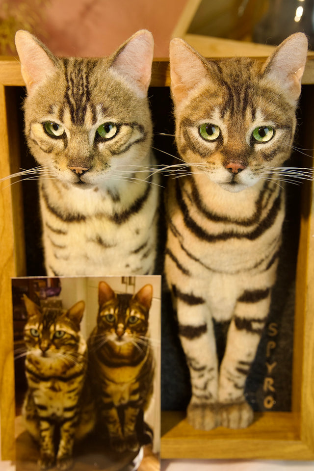 3D Custom Stuffed Animal Clones with Wooden Frame | pawimprint