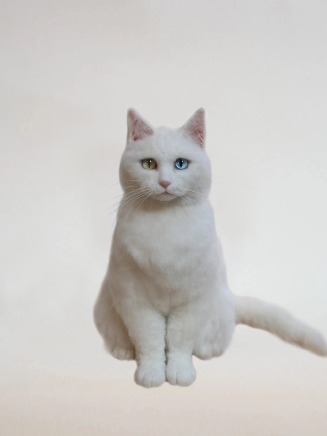 3D Custom Stuffed Animals From Picture - Lifelike Full Body Pet Portraits | pawimprint