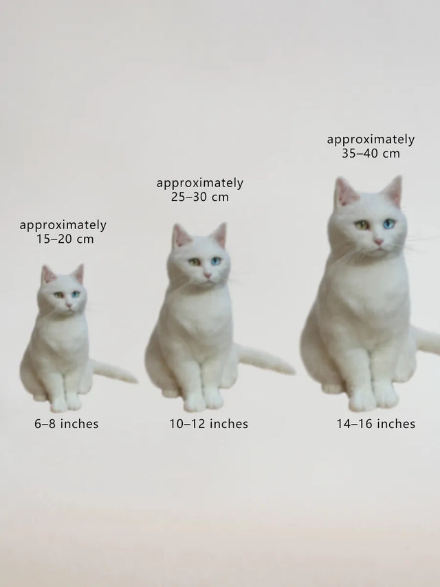 3D Custom Stuffed Animals From Picture - Lifelike Full Body Pet Portraits | pawimprint