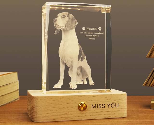 Personalized 3D Pet Photo Rectangular Crystal - Not Just For Pets!