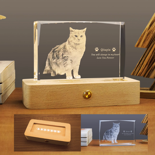 パーソナライズされた 3D ペット写真長方形クリスタル - ペットだけのものではありません!