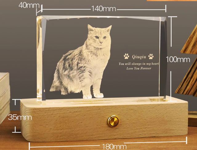 パーソナライズされた 3D ペット写真長方形クリスタル - ペットだけのものではありません!