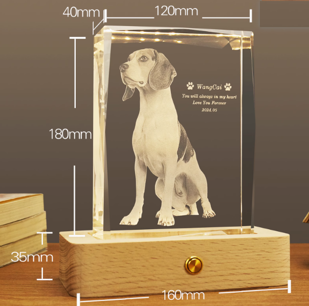 パーソナライズされた 3D ペット写真長方形クリスタル - ペットだけのものではありません!