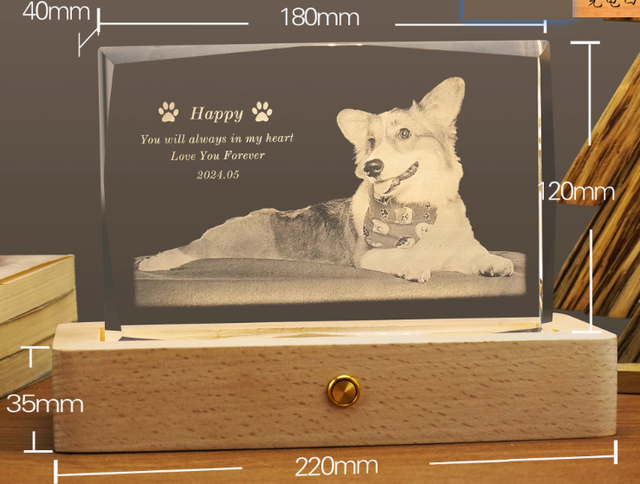 パーソナライズされた 3D ペット写真長方形クリスタル - ペットだけのものではありません!
