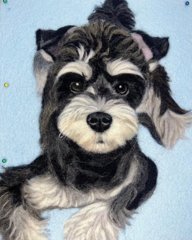 Custom Wool Felt Portraits of Pets