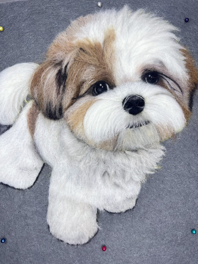 Custom pet wool felt paintings