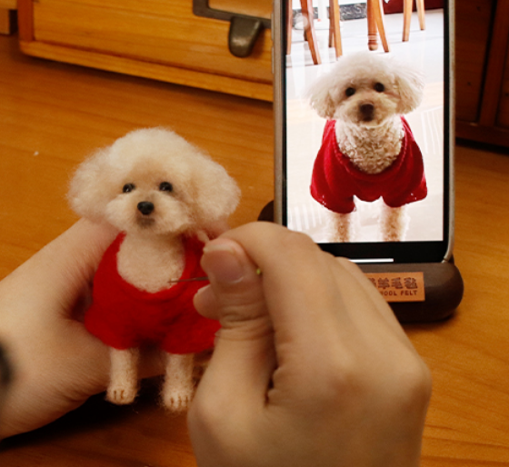 Custom-Pet Wool Felt Full Body Portrait