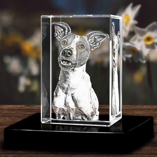 Why Choosing Pawimprint 3D Pet Crystals Brings Lasting Peace to Pet Owners