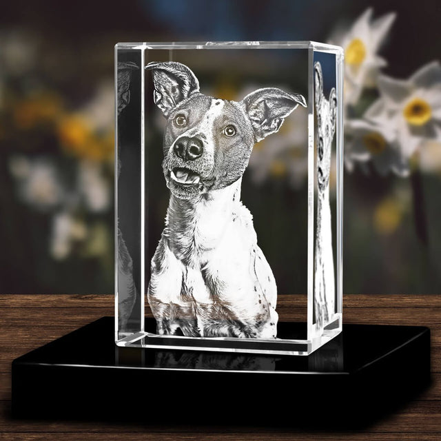 Why Choosing Pawimprint 3D Pet Crystals Brings Lasting Peace to Pet Owners