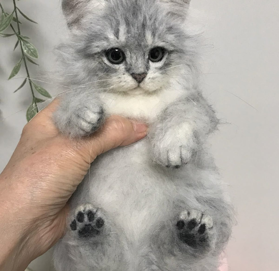Top 25 Unique Gifts for Cat Lovers to Surprise Them in 2026