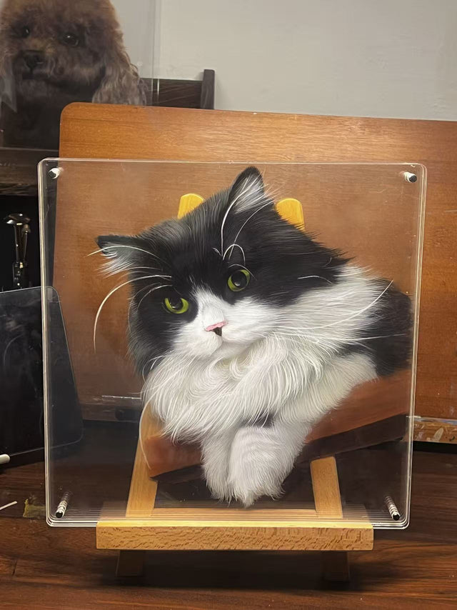 Gifts for Cat Lovers You’ll Want This Year