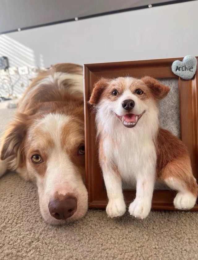 Custom Pet Wool Felt Photo Frame