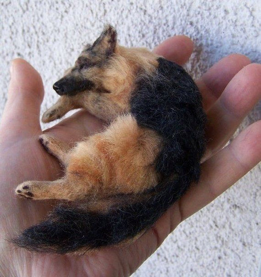 Real Voices from the Eternity Pet Memorial Tragedy