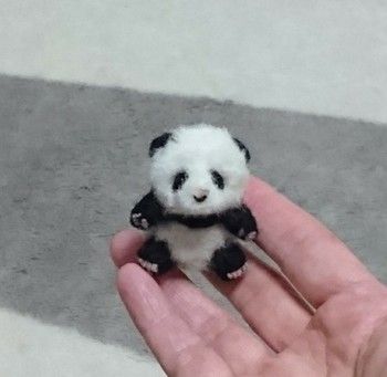 A Complete Guide to Unique Pet Loss Gifts and Their Meanings