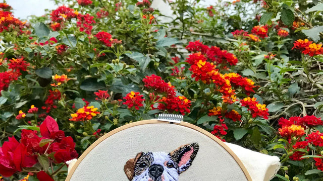 Wool Felt Pet Portraits vs Painted Pet Portraits Which Is the Best Choice