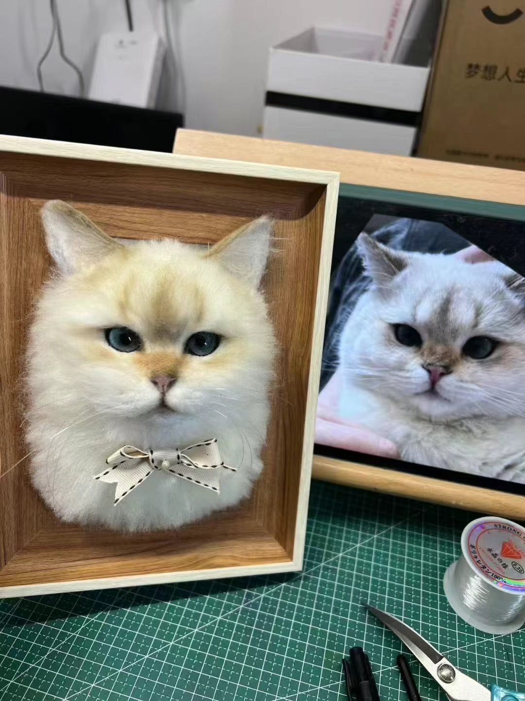Gifts for Cat Lovers That Break the Mold