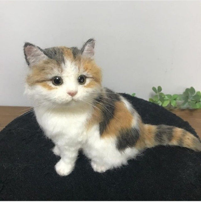 How to Identify the Best Unique Pet Loss Gift for Your Loved One