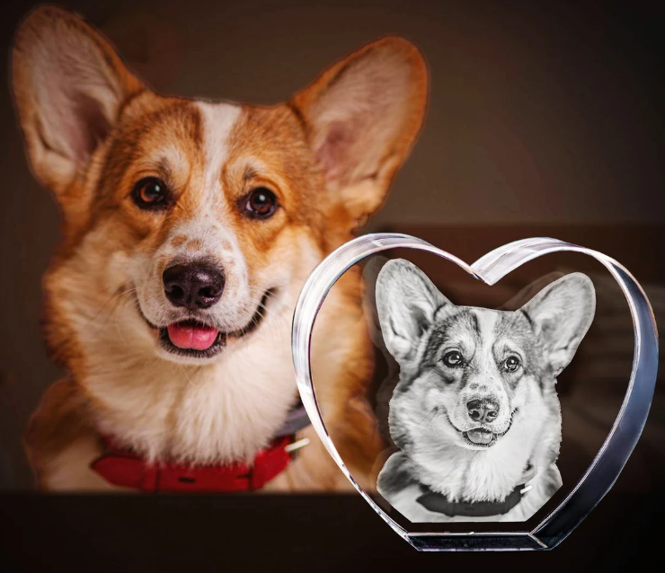 The Emotional Power of 
Pawimprint 3D Pet Crystals as Memorial Gifts