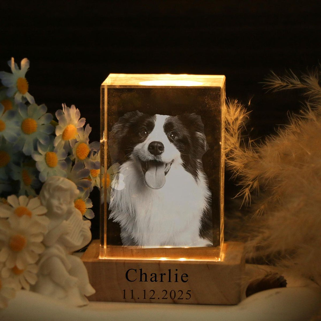 How Does a 3D Crystal Pet Memorial Preserve Your Pet’s Image